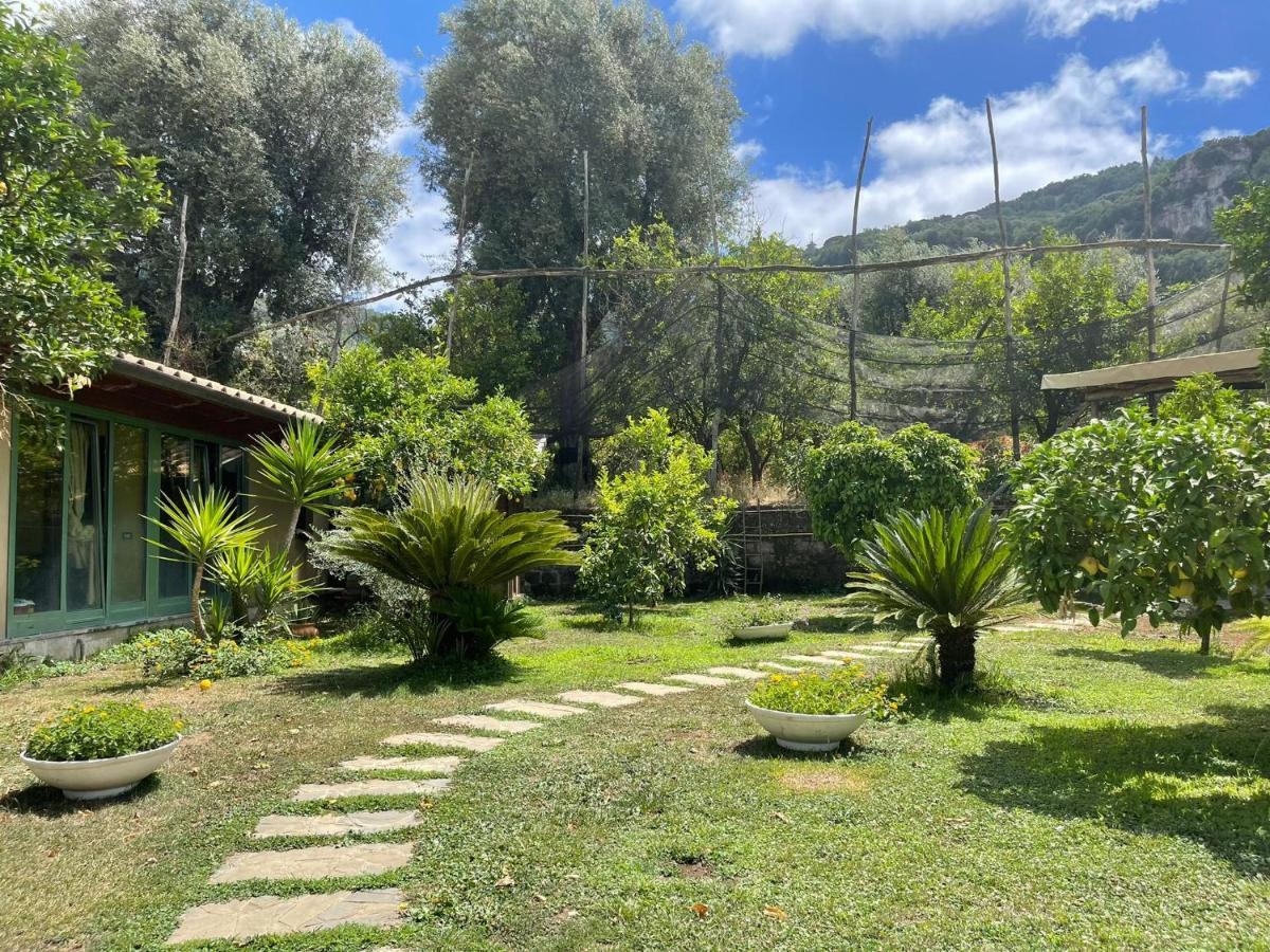 Casa Sorrento, Immerso Nel Verde A Pochi Passi Dal Centro 외부 사진