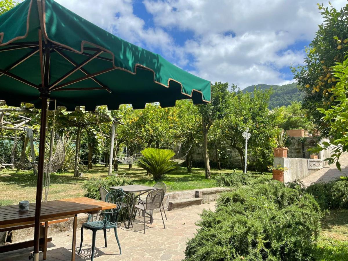 Casa Sorrento, Immerso Nel Verde A Pochi Passi Dal Centro 외부 사진
